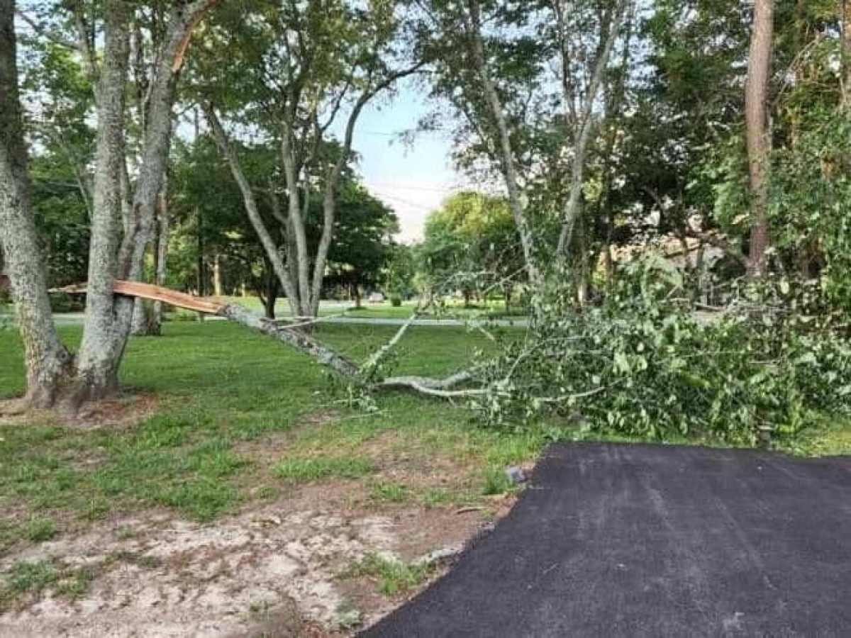 Storm-damaged tree split and fallen across a residential yard