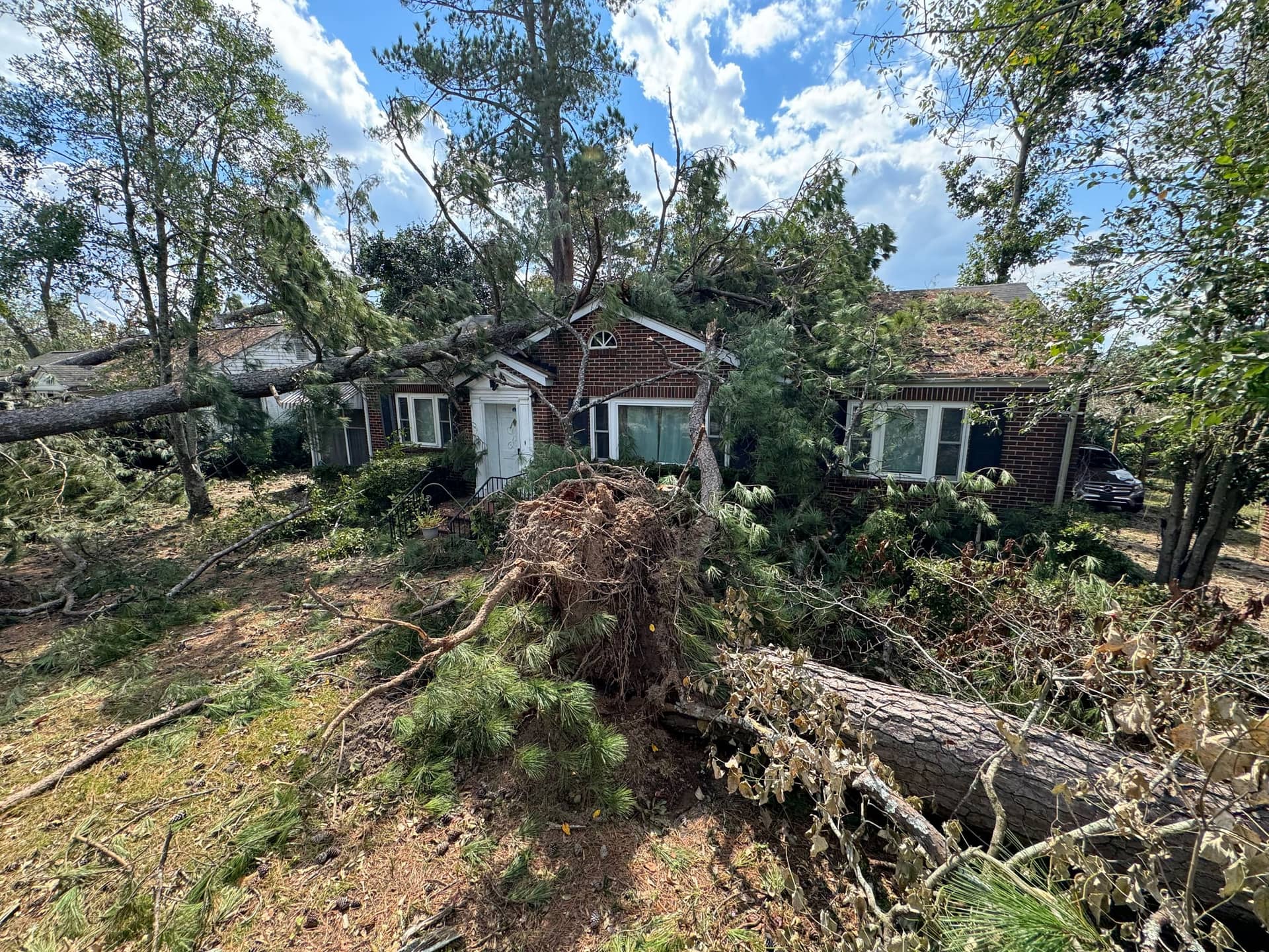 Large pine uprooted onto a brick house after a storm